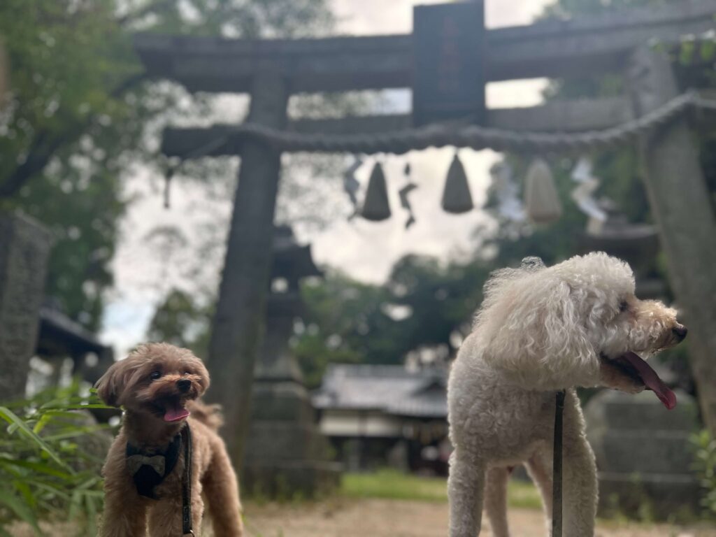 空心たく|自己紹介