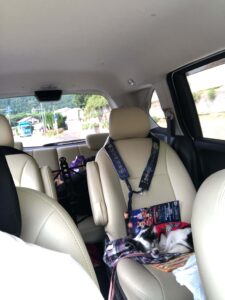 車内で眠るココア