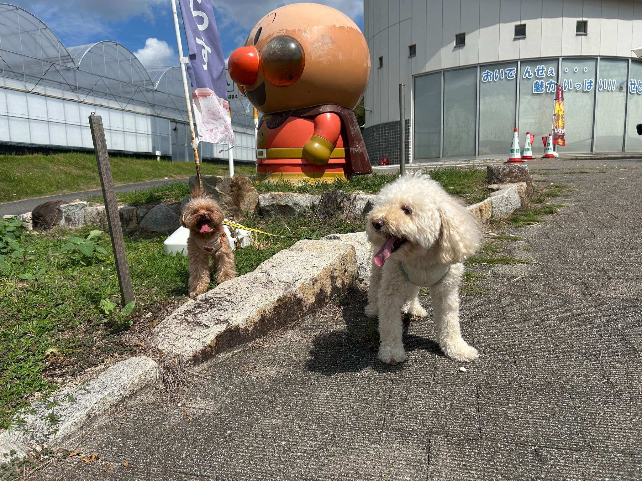 アンパンマンと愛犬
