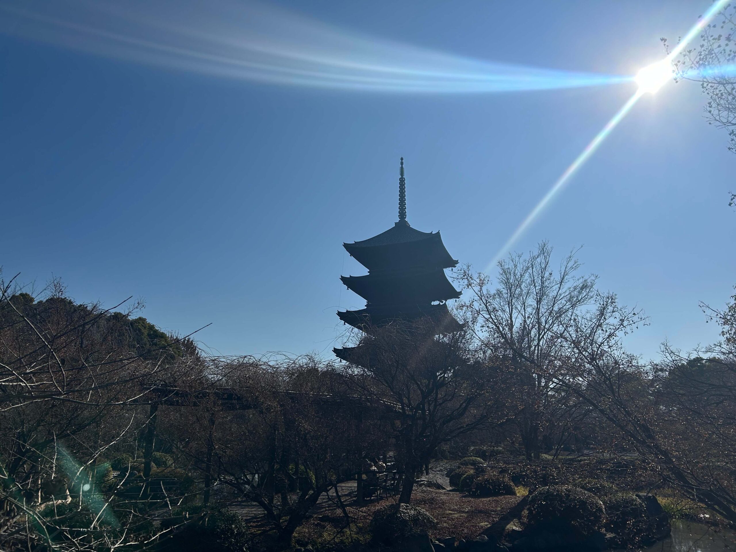 東寺 五重塔と冬の光