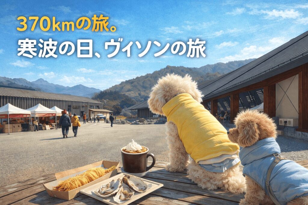370kmの旅。寒波の日、ヴィソンで待つ時間