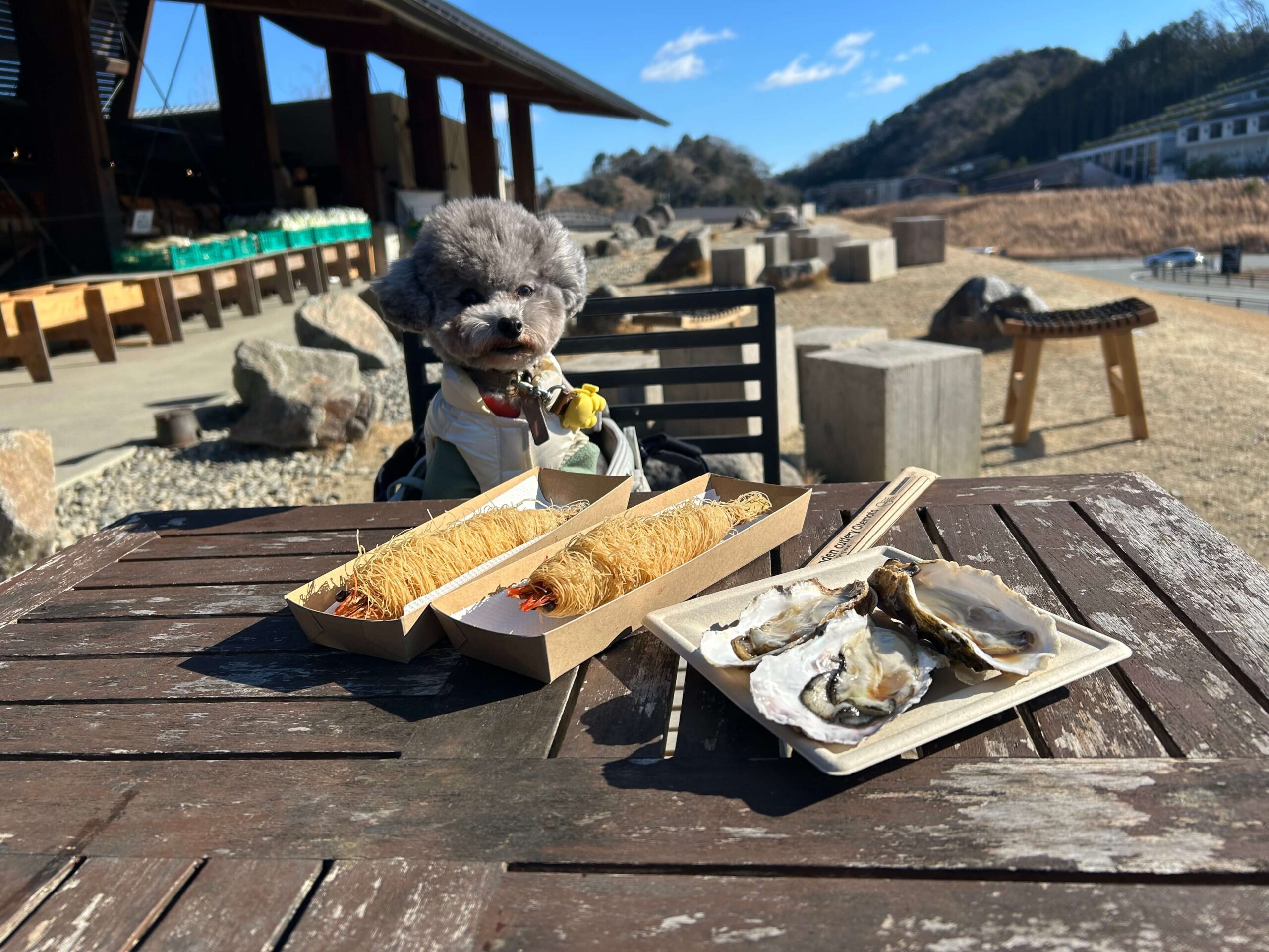 パリパリエビ・生がきとポムくん