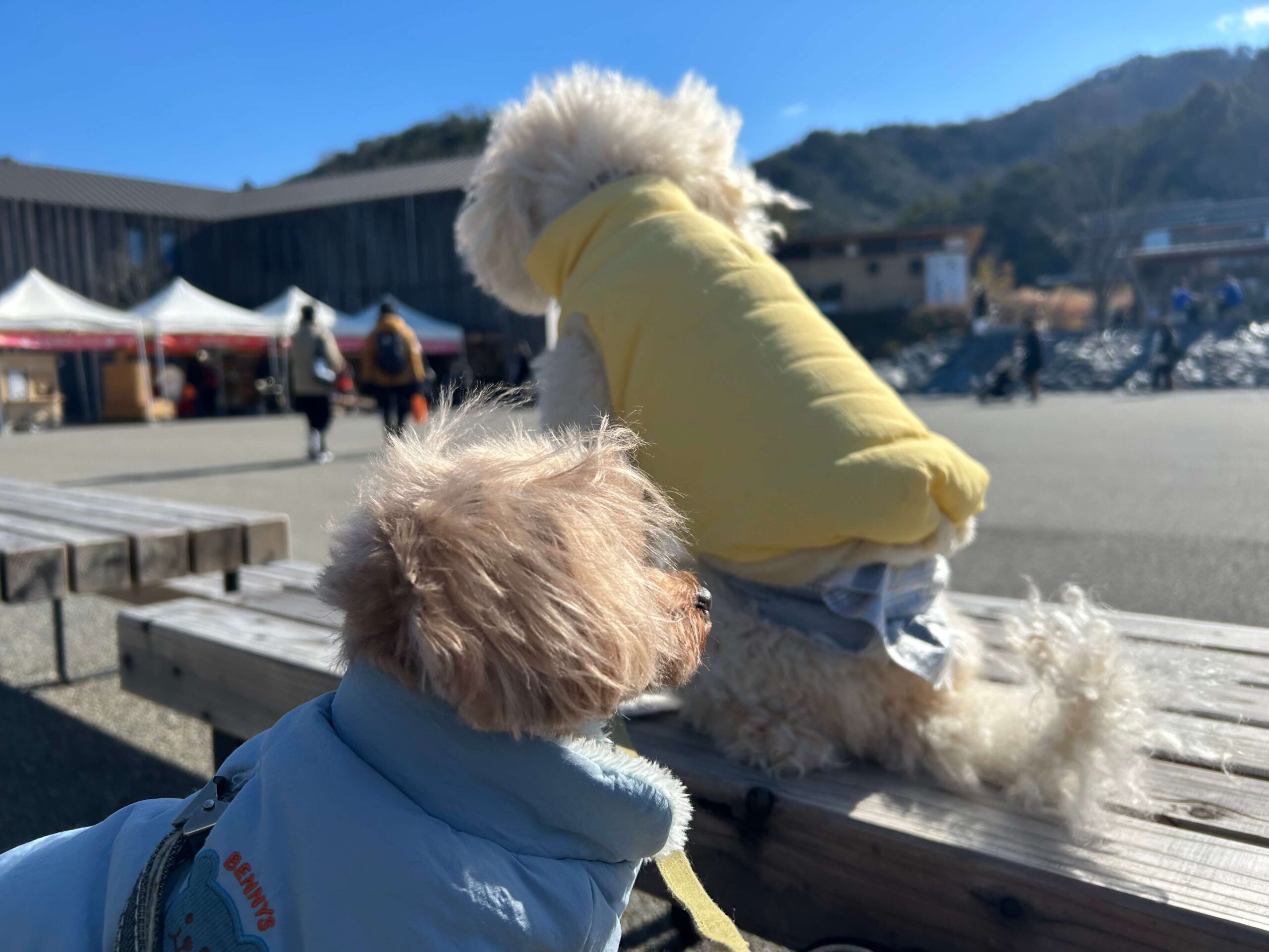 妻と娘を待つマルくんとプーくん