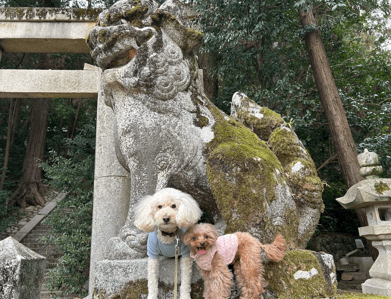 建水分神社の狛犬と愛犬