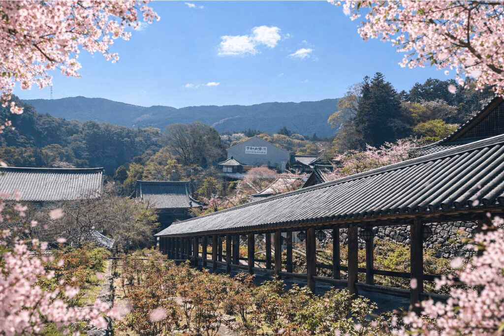 奈良・長谷寺参拝記｜両親と歩いた桜の一日