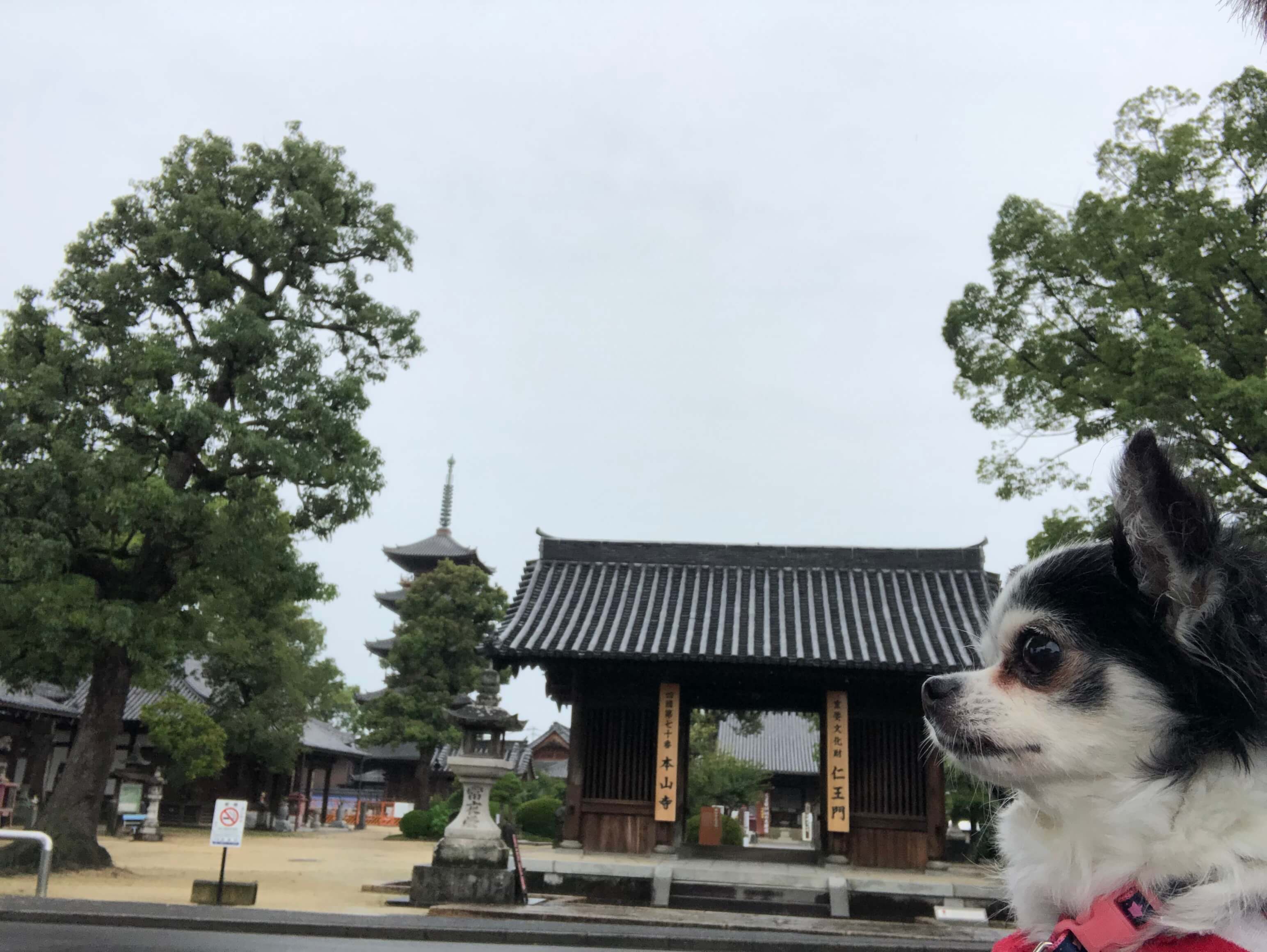 本山寺