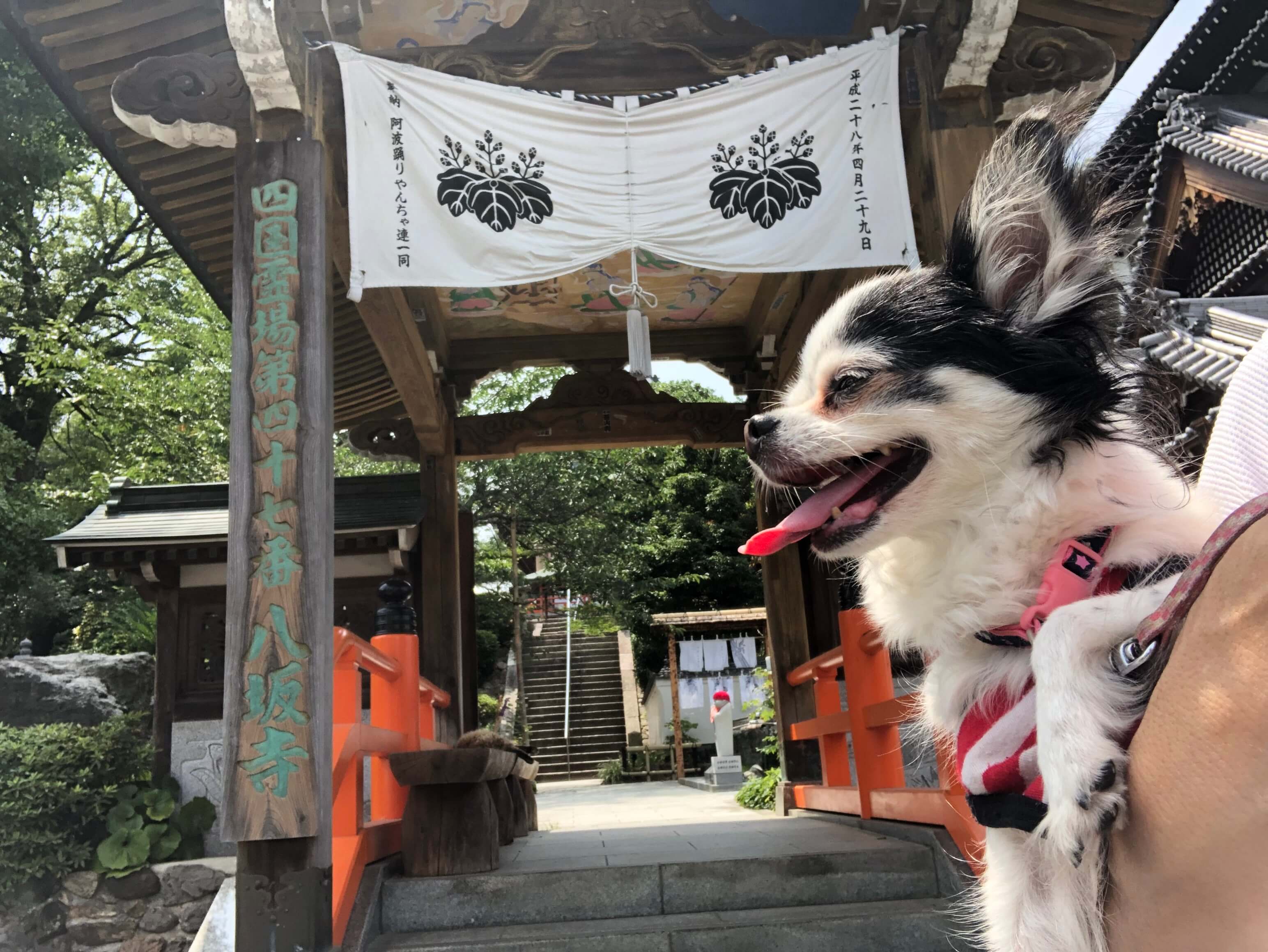 八坂寺（笑顔）