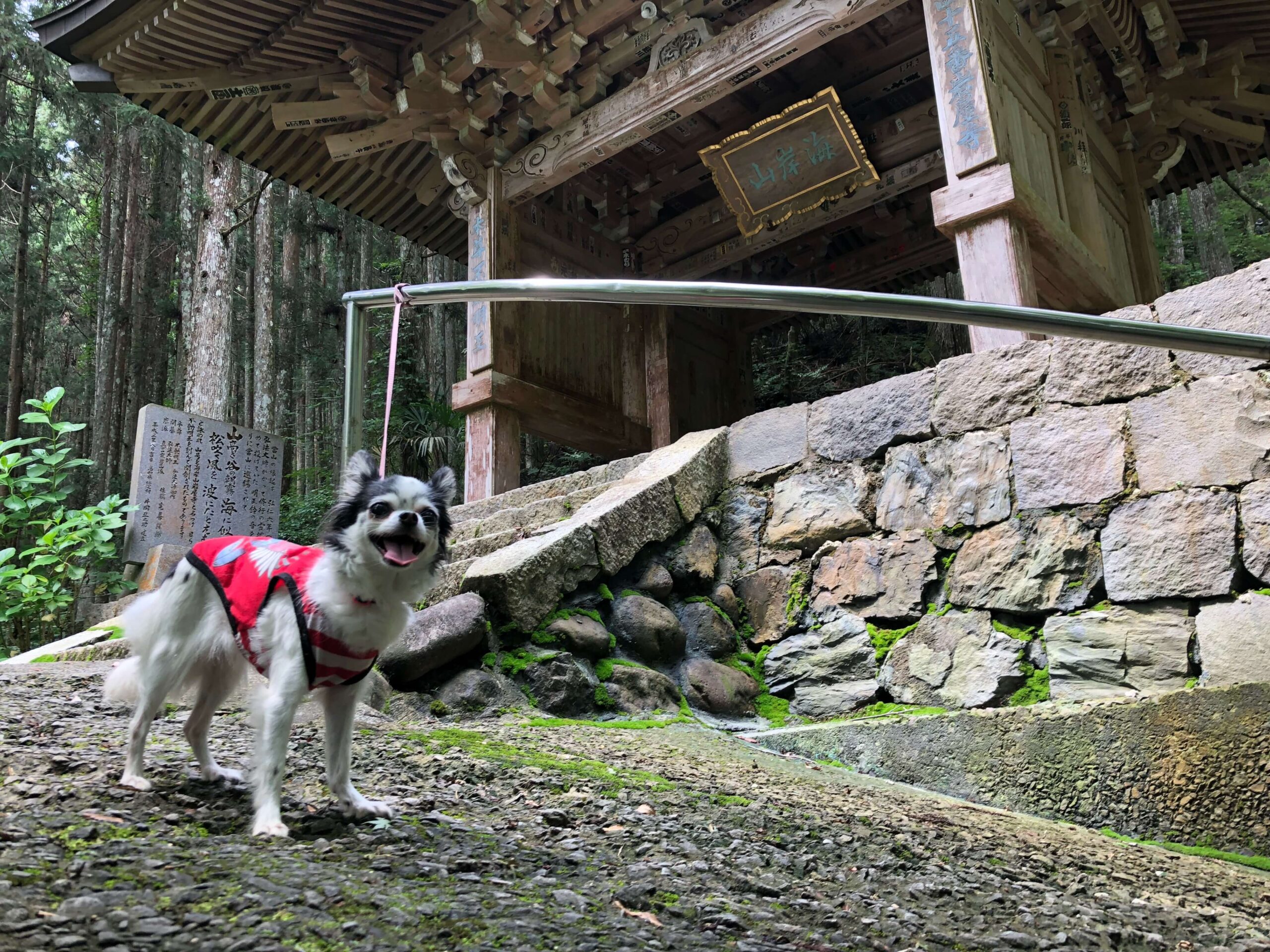 笑顔で山門前に立っている写真