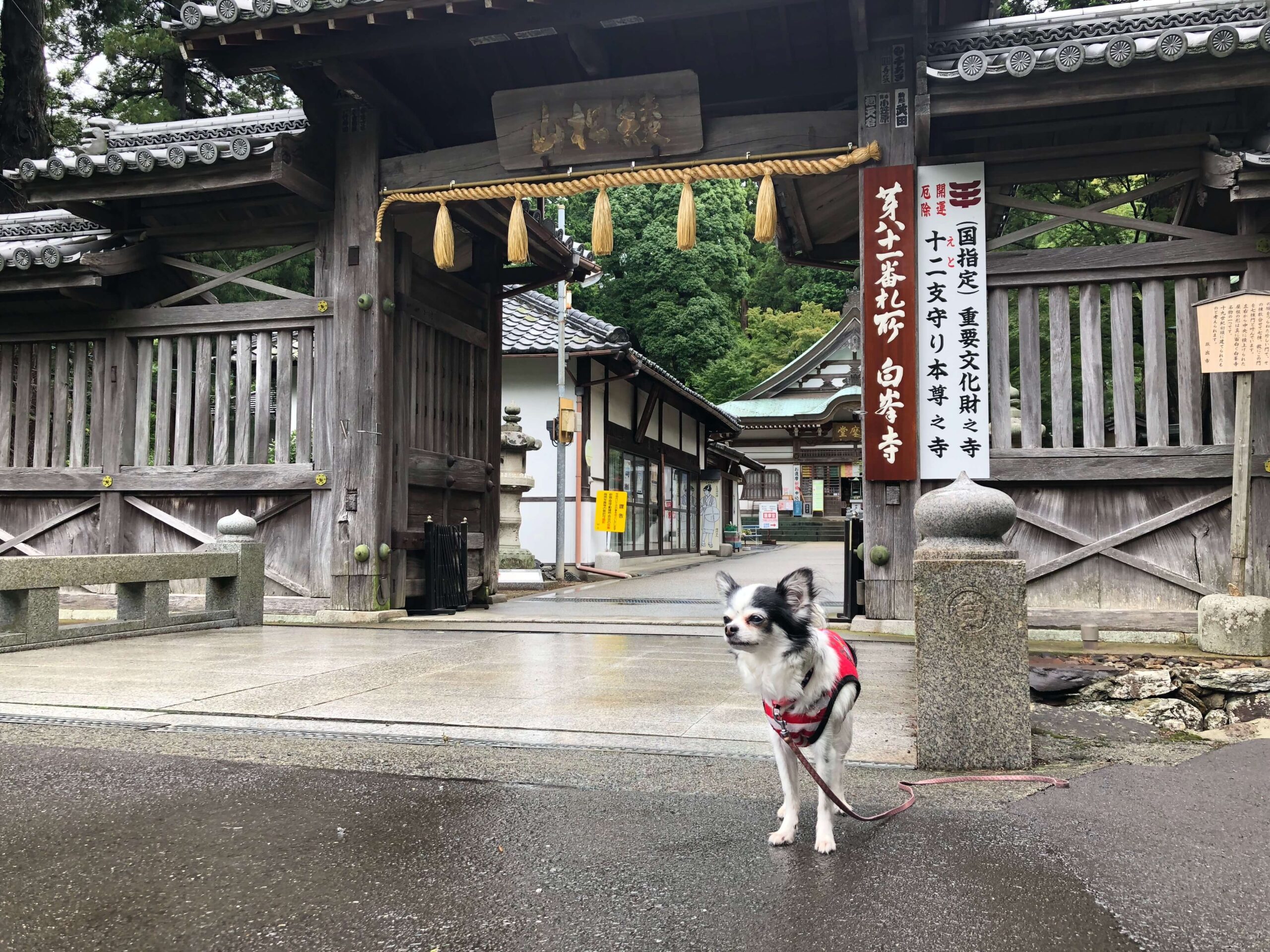白峯寺