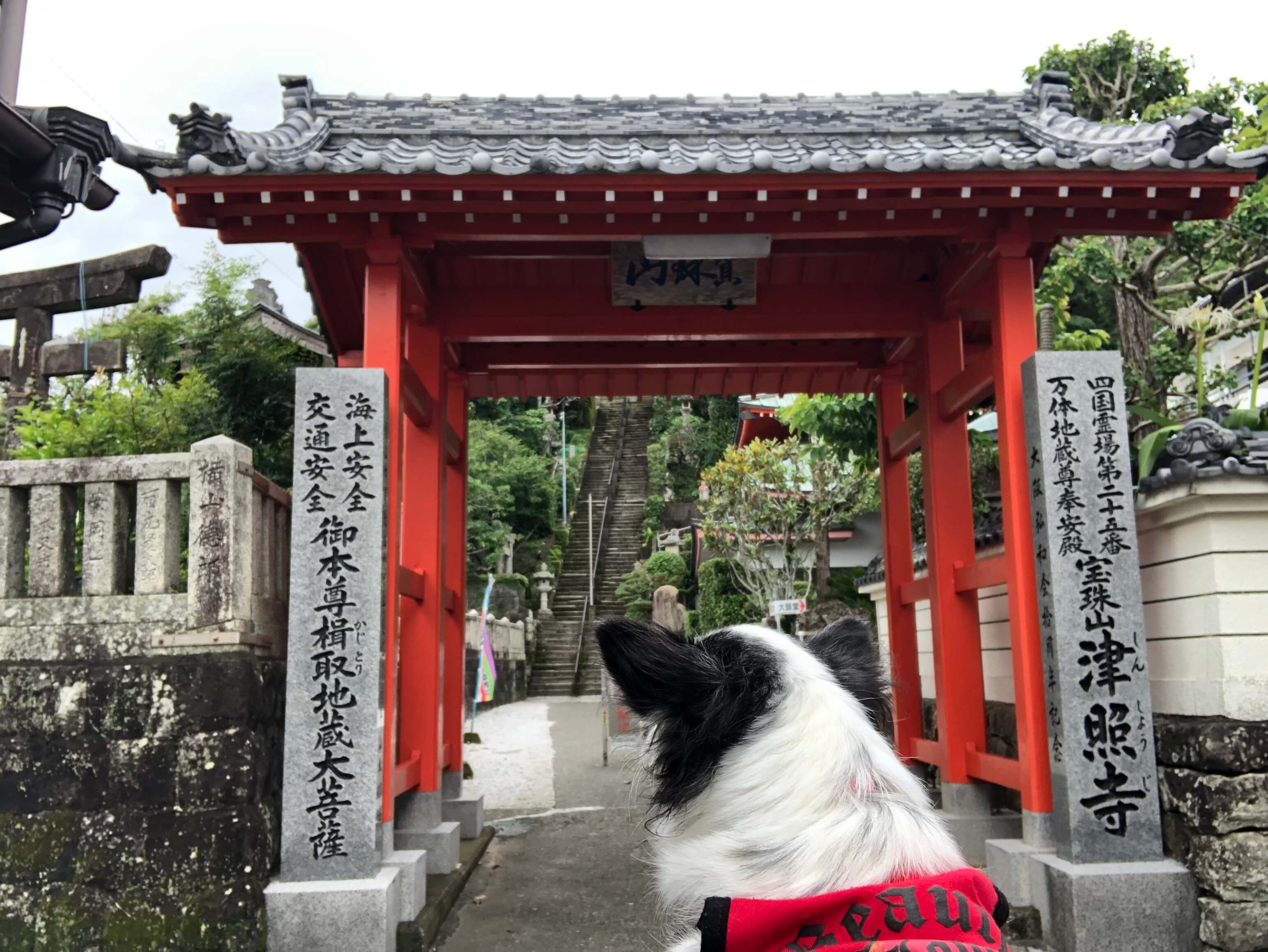 津照寺