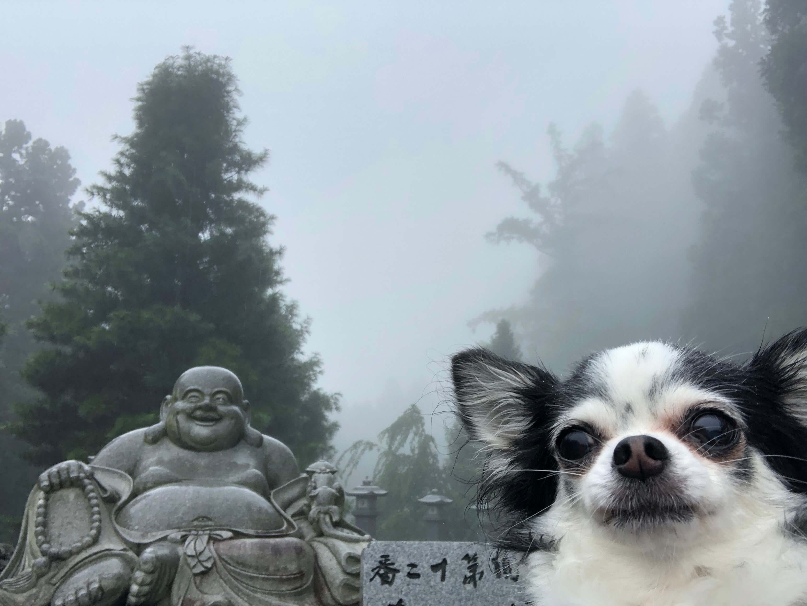 霧の中の布袋様とのツーショット