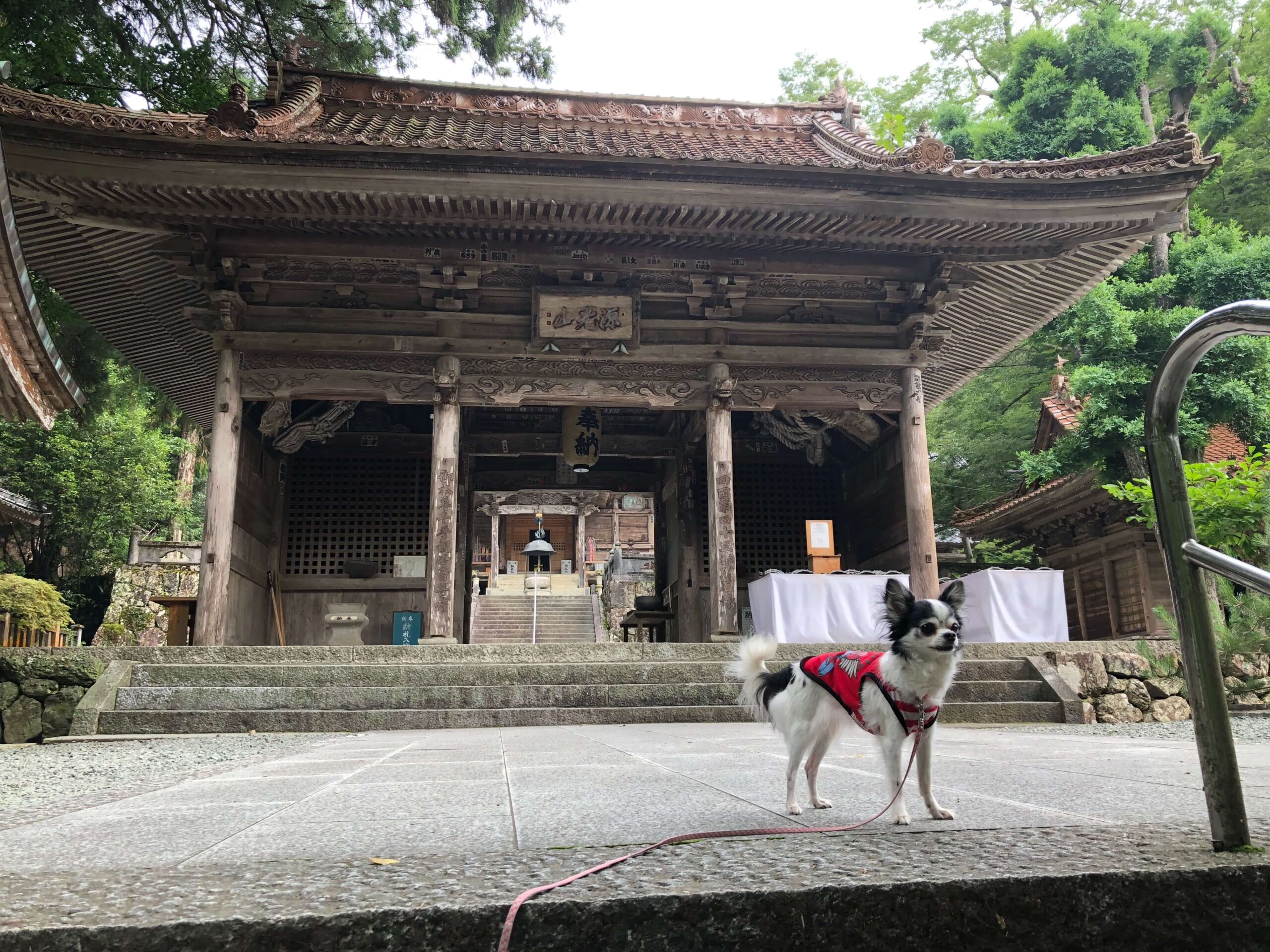 本堂前