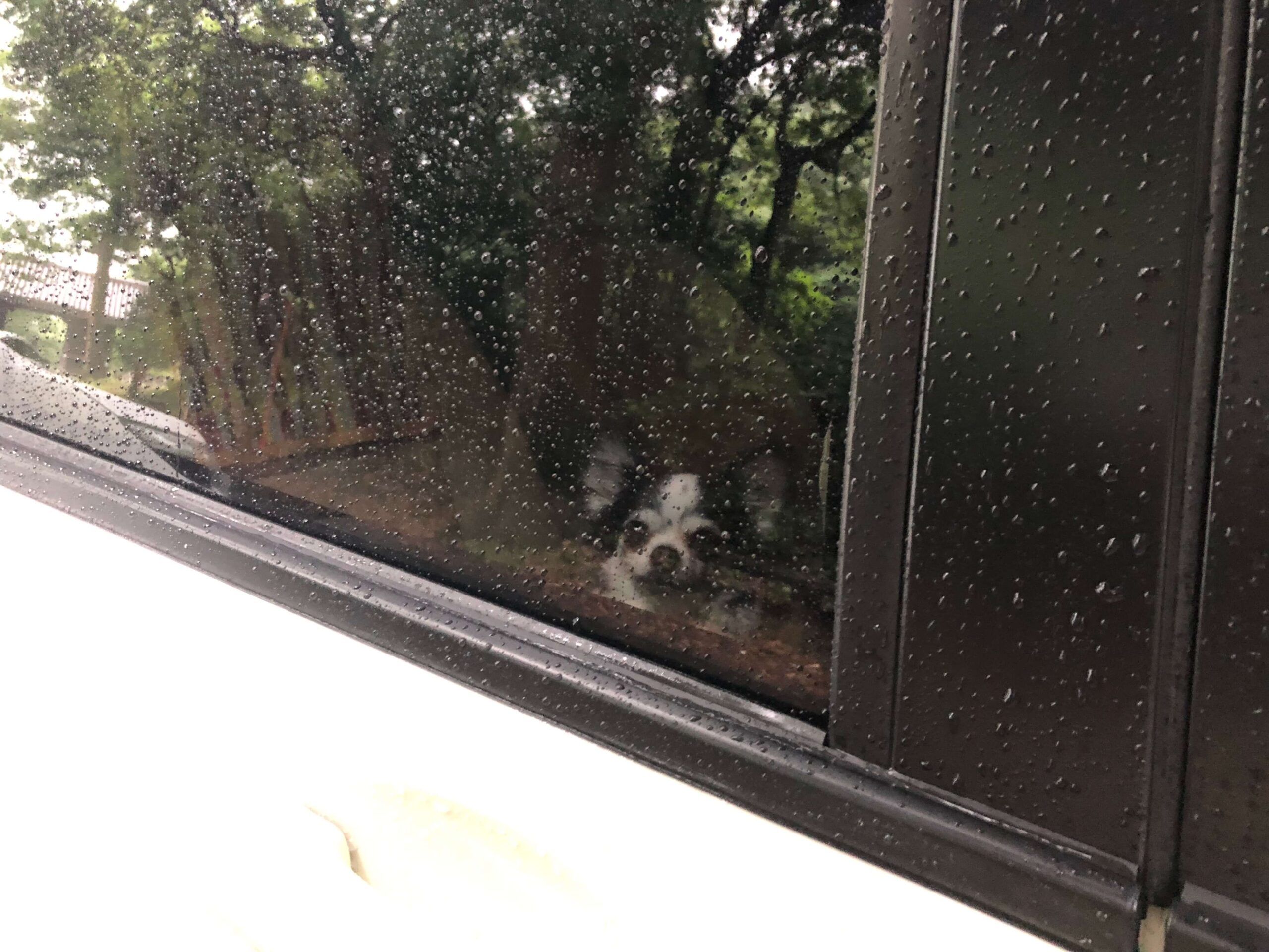 雨の日のココア